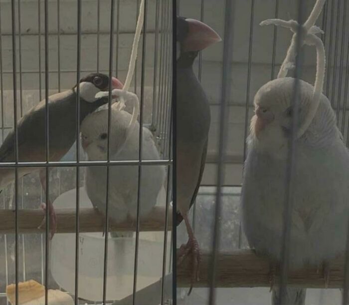Hmmm