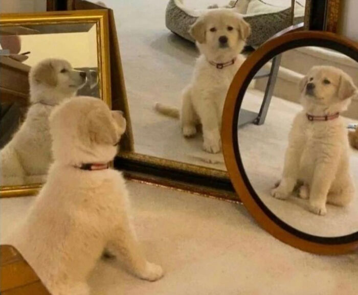 Hmmm