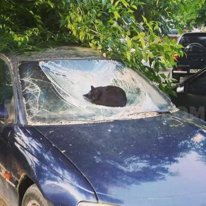 Hmmm