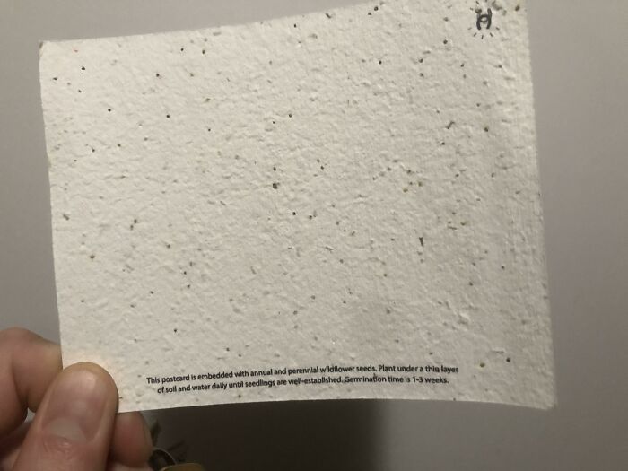 Esta postal de un hotel de Nueva York tiene semillas de flores silvestres, y puedes plantarla tras recibirla por correo