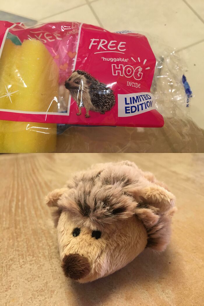 Este paquete de esponjas viene con un erizo gratis