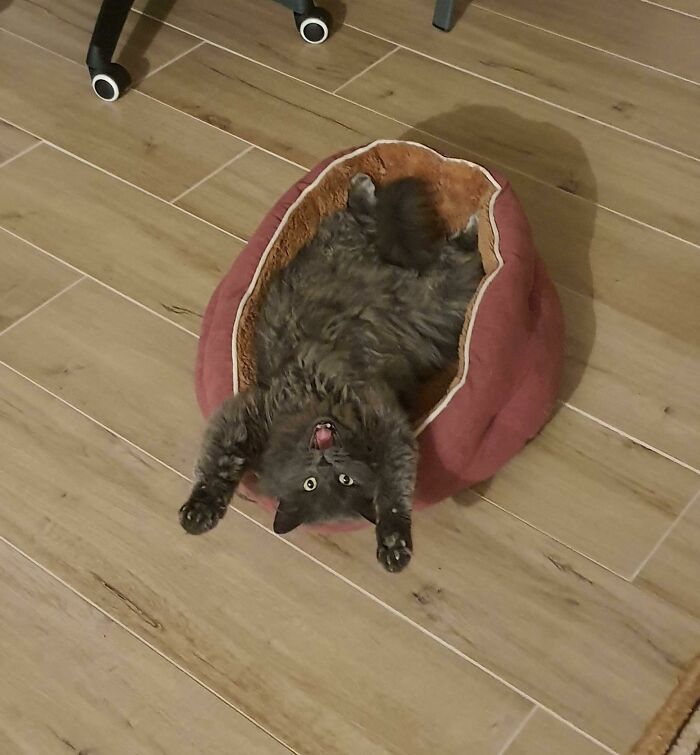 Qué paaaassssaaaaa