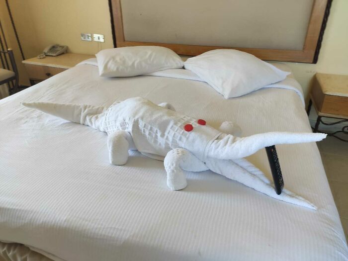 Al llegar a la habitación nos encontramos esta sorpresa