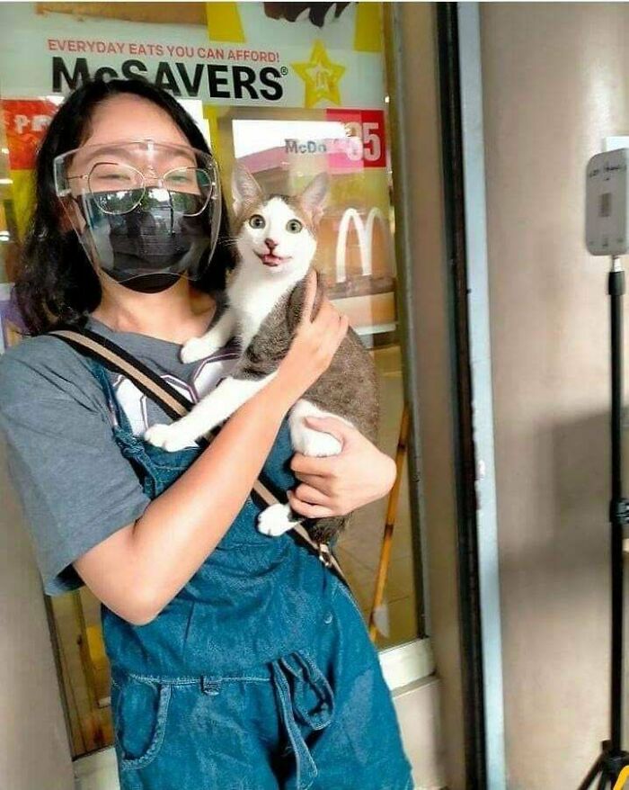 ¡Adoptar salva vidas! ¡Mira esa carita!