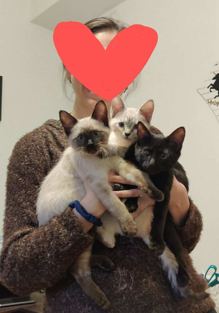 ¿Una adopción triple?!?