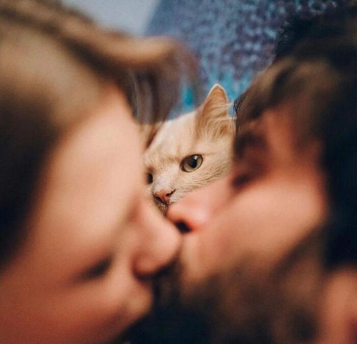 This Instagram Account Features Amusing Street Photographs And Has More Than 500 Thousand Followers (30 New Pics)