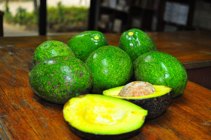 Gastar demasiado dinero en aguacates
