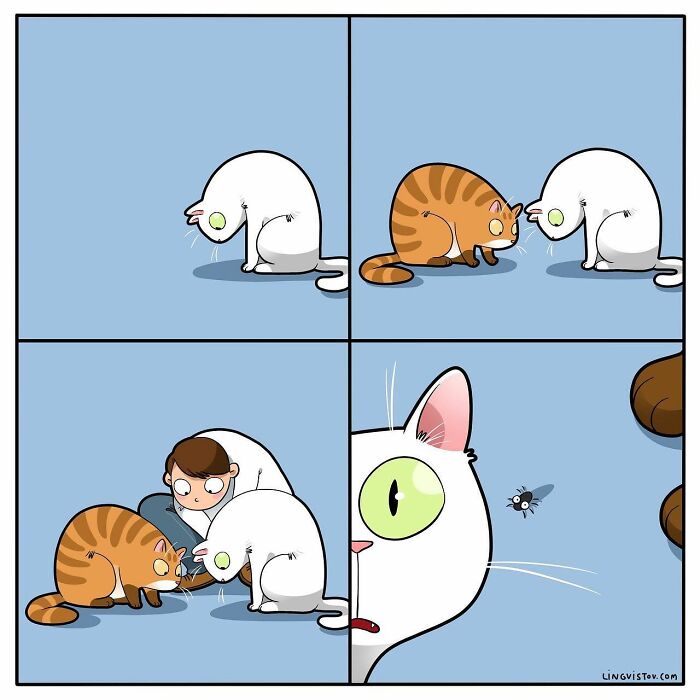 Artist Illustrates Funny Realities Of Living With A Cat (35 New Comics)