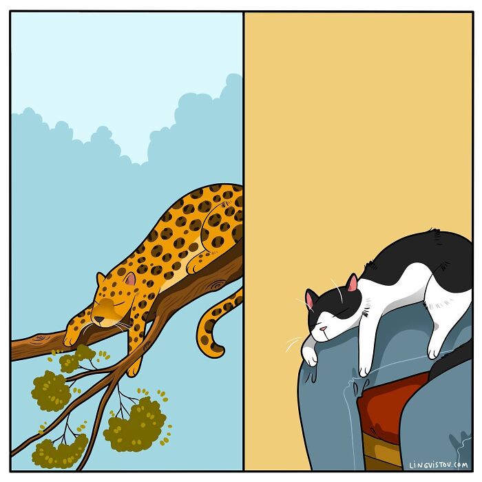 Artist Illustrates Funny Realities Of Living With A Cat (35 New Comics)