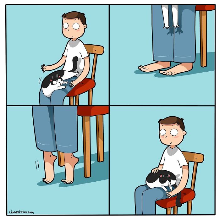 Artist Illustrates Funny Realities Of Living With A Cat (35 New Comics)