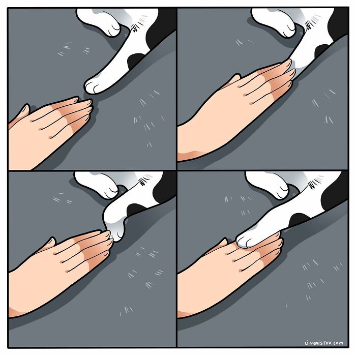 Artist Illustrates Funny Realities Of Living With A Cat (35 New Comics)