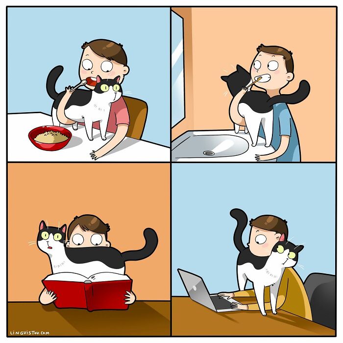 Artist Illustrates Funny Realities Of Living With A Cat (35 New Comics)