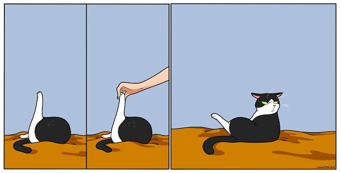 Artist Illustrates Funny Realities Of Living With A Cat (35 New Comics)