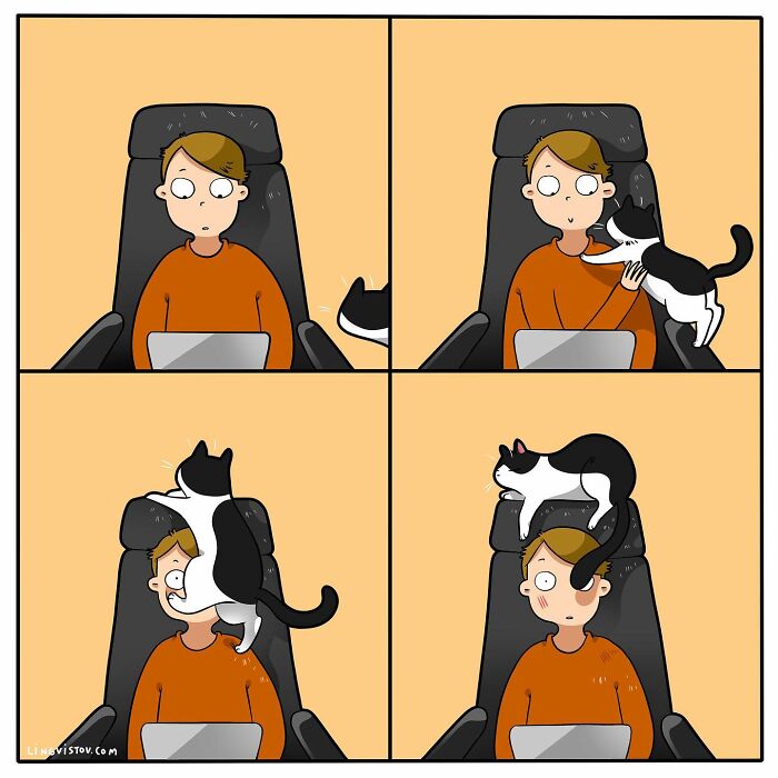 Artist Illustrates Funny Realities Of Living With A Cat (35 New Comics)