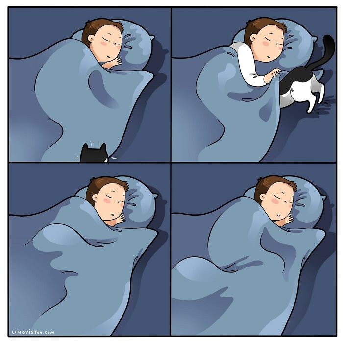 Artist Illustrates Funny Realities Of Living With A Cat (35 New Comics)