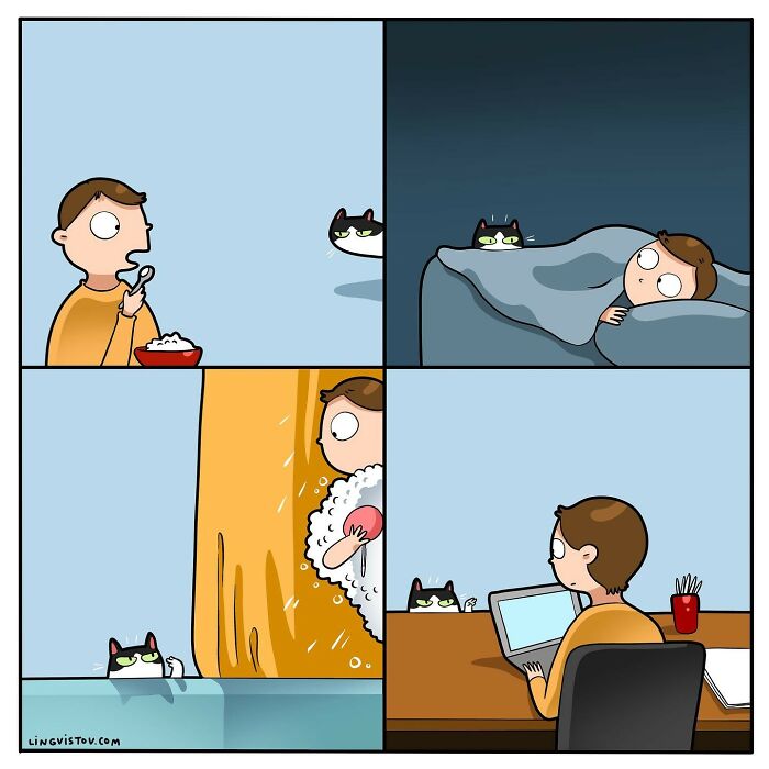 Artist Illustrates Funny Realities Of Living With A Cat (35 New Comics)