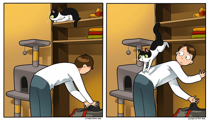 Artist Illustrates Funny Realities Of Living With A Cat (35 New Comics)