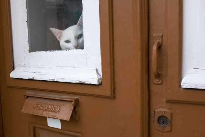 30 Extraordinary Pictures Taken By Jeffrey De Keyser Embracing "The Absurd Human Condition"