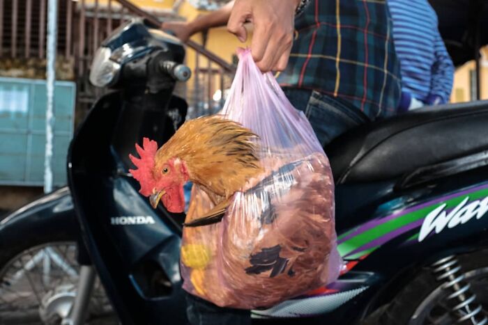 30 Extraordinary Pictures Taken By Jeffrey De Keyser Embracing "The Absurd Human Condition"