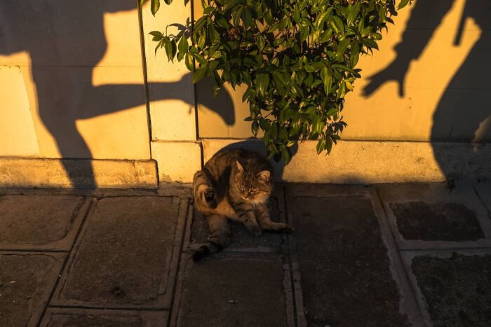 30 Extraordinary Pictures Taken By Jeffrey De Keyser Embracing "The Absurd Human Condition"