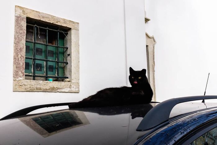 30 Extraordinary Pictures Taken By Jeffrey De Keyser Embracing "The Absurd Human Condition"