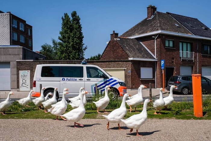 30 Extraordinary Pictures Taken By Jeffrey De Keyser Embracing "The Absurd Human Condition"
