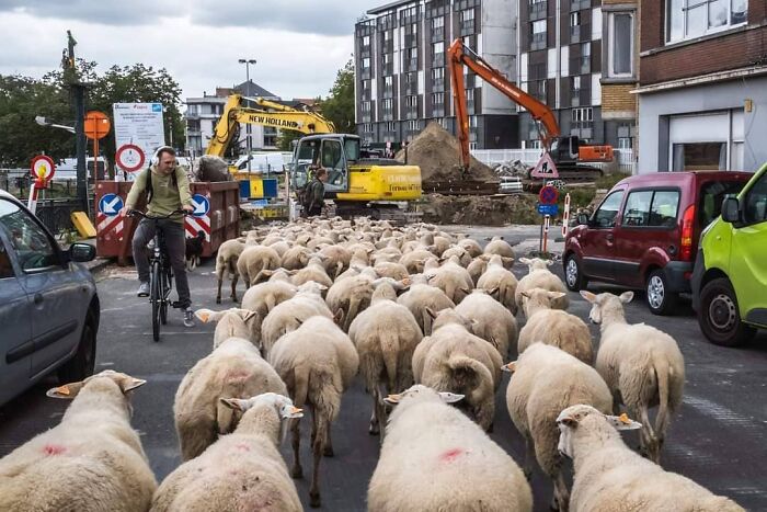 30 Extraordinary Pictures Taken By Jeffrey De Keyser Embracing "The Absurd Human Condition"