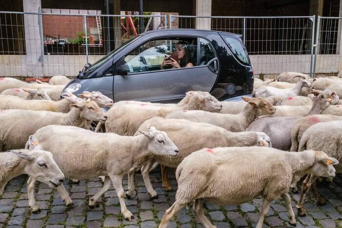 30 Extraordinary Pictures Taken By Jeffrey De Keyser Embracing "The Absurd Human Condition"