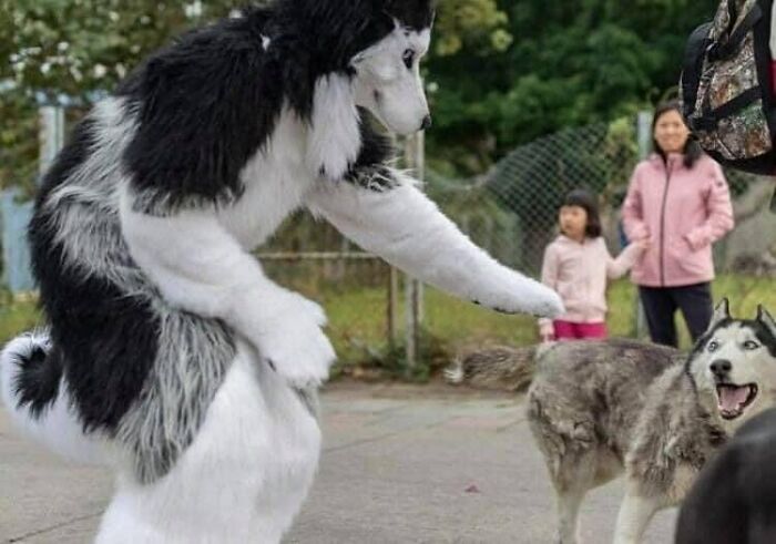 This Instagram Account Collects Images That Are Worth Seeing At Least Once In Life (50 Posts)