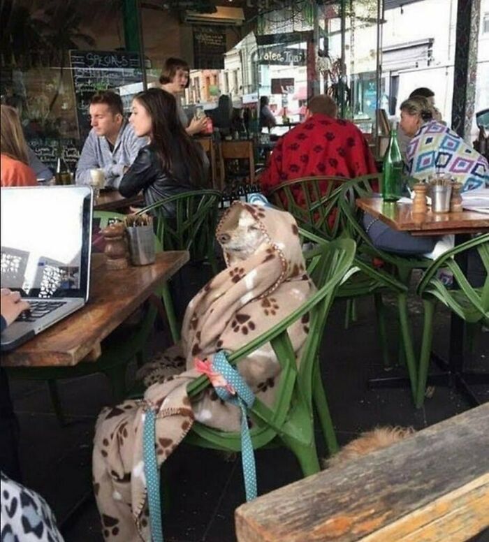'Not My Animal': 40 Animal Pics That Just Don't Make Any Sense, As Shared On This Instagram Account