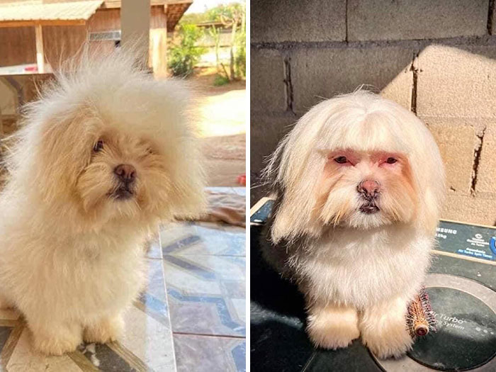 Sí, creo que a él no le gusta el corte de pelo