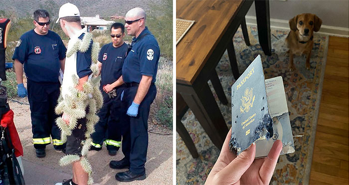 40 Personas que no tuvieron más remedio que fotografiar sus miserables fracasos (nuevas fotos)