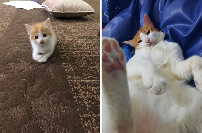 Antes y después