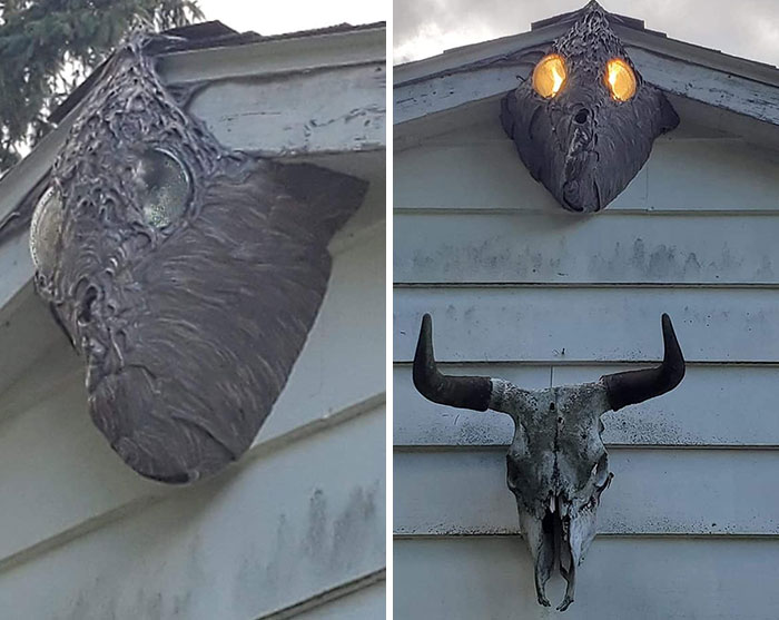 Este es un nido de avispas que ha crecido alrededor de los reflectores de un garaje