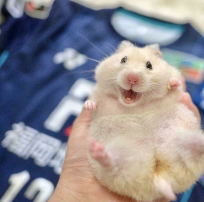Sonríe