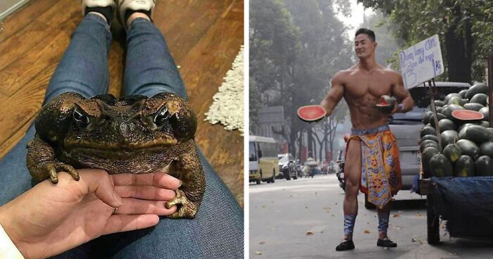 40 «Unidades absolutas» compartidas en esta comunidad online (nuevas fotos)