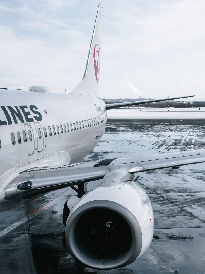 20 Oscuros secretos de la industria de las aerolíneas, compartidos por auxiliares de vuelo