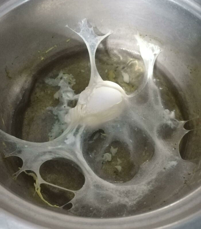 Estaba cociendo el huevo pero me olvidé de apagar el fogón
