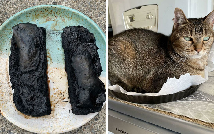 40 De los accidentes de cocina más divertidos (nuevas fotos)