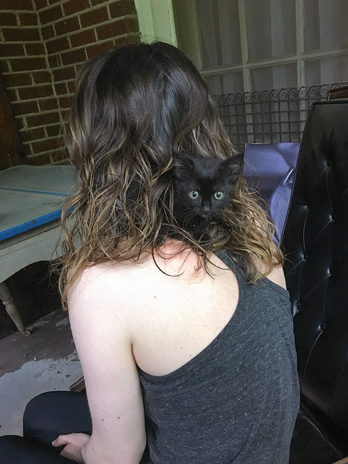 Hoy encontré a este pequeñín. Se sentía seguro escondido entre el pelo de mi novia