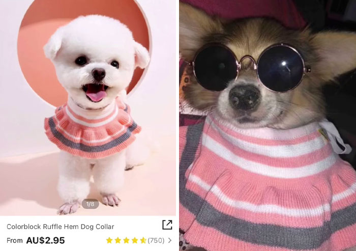 30 Times Shein Customer Reviews Were Even More Entertaining Than The Products They Sell