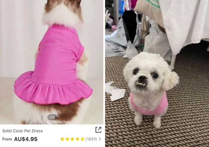 30 Times Shein Customer Reviews Were Even More Entertaining Than The Products They Sell