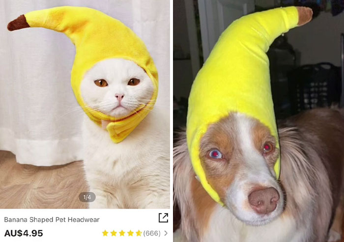 30 Times Shein Customer Reviews Were Even More Entertaining Than The Products They Sell