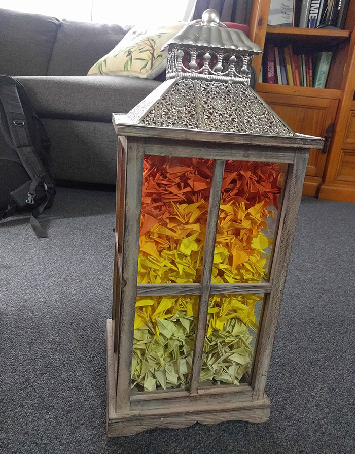 Hice 1000 pájaros de papel para mi mujer en nuestro primer aniversario de boda