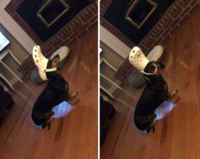 Juega con unas zapatillas Croc el suficiente tiempo y te convertirás en ellas