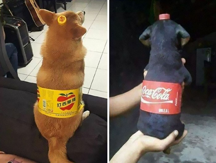 Ahora sois botellas