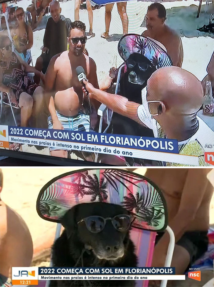 Las noticias