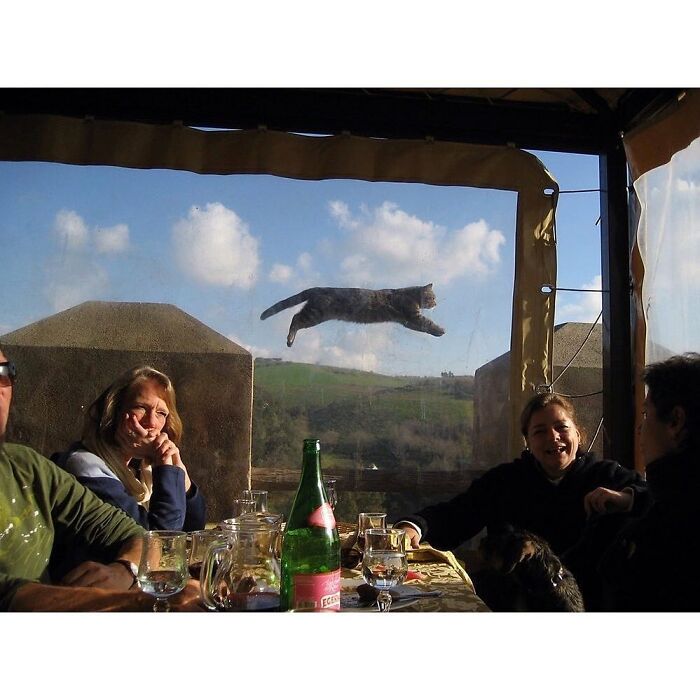 Here Are The 30 Most Jaw-Dropping Animal Photos, As Shared By "The Decisive Moments Magazine"
