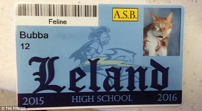 People Don't Usually Like Their ID Pics, But These 35 Are Hilarity On Another Level