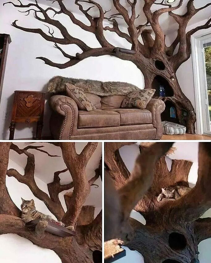 50 People Who Took Woodworking To Another Level And Shared Their 'Crazy' Results In This Online Group